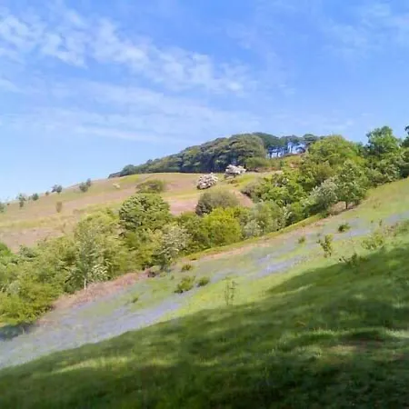 Squirrel Vakantiehuis