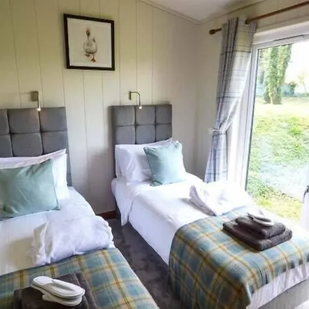 Squirrel * スキプトン