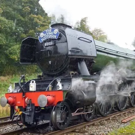 Squirrel スキプトン